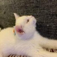 9431139416ecd0063f96c51233a595b8e2a5033c