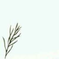 20b8a3f8c2ff94620a51d9be4069612d9d886da1
