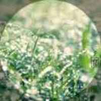 791973243e00f67cbdc01eaf762072aa8c715ef5