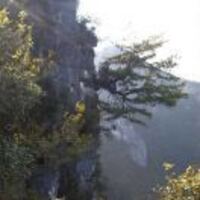 E1585ccfa9e9339d1f864da7c23c1f160dae829f