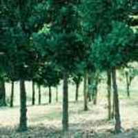 96989b437588f7ed8c9c90525007462d8dede800