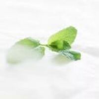 72d258df0952d0446cecc1b6b4a7300dd4882c48