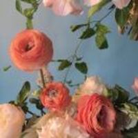 5eb7e3f7ed648695a856006c264fb932b5f92e0b