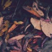 0b8369dd7e11b97b2dad52e1092bd7a951bb621f