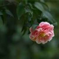 9001e2f205d1d9d71774aa9e033b7aacfbd4a8c6