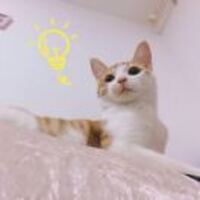 F714d879abbb6f79407dc340a8e44f72f9130076