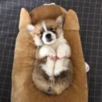 4bd9fb6584a38fa284fa4fc5c395ae4b8d3b309c