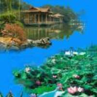 46a529b029b2896a48300418aed6beeb850e9913