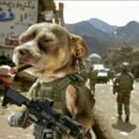 9e0f5a2c1c03a5a3c3a691629e3d864b3b9150e3