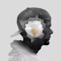 4be905b231473ce70a80514262a0cb0c5b678e62