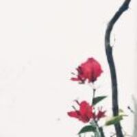 C94711c1c073de7e2ab105da278d4a4ed4f470e6