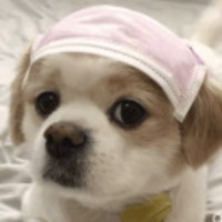 Fa9e95c6ede4f48bbecbae90db467796b42164d2