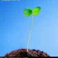 51af54d66a148cc8671eebfe3a4b5d3ce30b3485