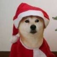 16de586c023943a3c60264431801c0895df048c0