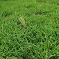 C6b061db7c95e4559d7845f4ddde47d0c90604a8