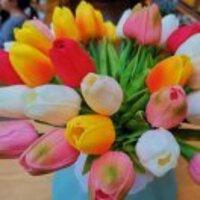 F95bb231c71ad1fa7644d8c59cd11b074273c5c3