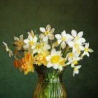 038295bda1824ec77a027a41bc80e1b9cff4a68d