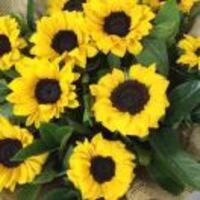 0d4e942eba53ff40b982569b1f399aedd9741d8a