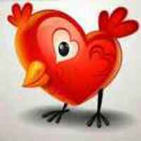 02f8b113acaab4207f948cc2e21501ca57753009