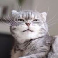 6f0bf06d06533d9915e9fb914111e38dd977db37