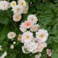 47e6ecfe28b870ada23fdfbd2ea04aa756558572