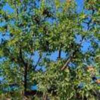 E4073fece04c4af502a61ef6dbf0f152c91f16c3