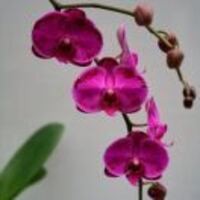 E0845bcdd9c6b3af887725b944166363bf862011