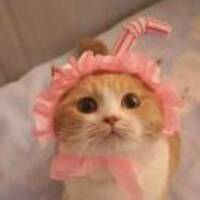 C6575142b592614b4394ff979d5456656d4cba39