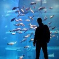 1b85cc9ceb23b39d0e74357eecad1ffbf18afc32