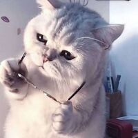 031a753f20d0c53a5fda7423482d7670ca90fa19