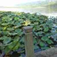 Bc6bd8a19141adb9e5d58917d88b0bc8d8202ef6