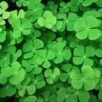 280838f72b554e3701a61e7420d286ec162b448f