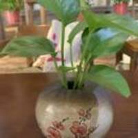 1bdeb3421da40af388f2ff9c1d14c8112bfd58c9