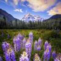 25d7e8b7bb6d3621e62d23fb5afca963b1ffa373