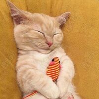 580181642b50fb7a3d2a703e9d6f3aa5f01aca10