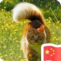 13a73bcbda8c2e8edb9d4e674f7f7f674d4a5cbf