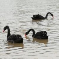 Abc5e20963d2cefd51a02c12faa45b8deea3a3c1