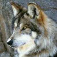 A83e71bea1d81fc3615f20b9f52d7f20a9f1445a