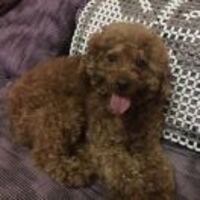 701a9789aff31ce460eeac3106856aca6085a92e