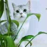 Fcad6d48e18d749591dda9eb1798874c3403e697