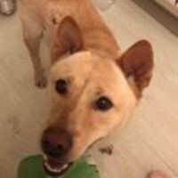 099f79a3ab49c59b877ad39739fcb270733948e7