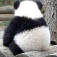 36f70282c21f81e58cf507b1665a34bd106ca40f