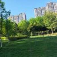 0eaa9ad4436ef9d339bd2586f41b435863b13a2e