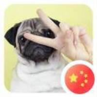 12affee6171f0afe02ce0fadc946fd42467aaf0e