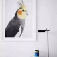 62cc1f9509aeb4f958760cede777df6916eb62f6