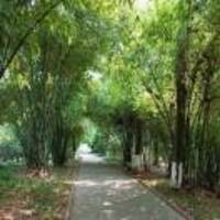 74a664ae4b36bb391dda5ae760f95930e5e026b5