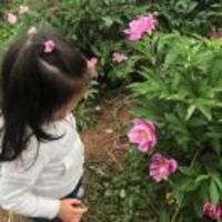 F2d2b356a47bec9706c18113441cde145898ca55