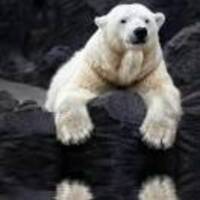 Bc47fd88bd67c73a8bd134f3ef5a00b795e84c4d