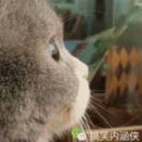 A3cfe2beadefb0b2ba2a1746d5b211db797c168c