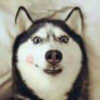 1d1fdc8e6b88866c9fb6588320e50ca93f163151